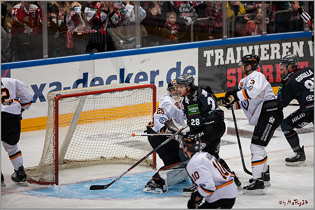 Koelner Haie - Grizzlys Wolfsburg, 16.10.2016, 16.10.2016